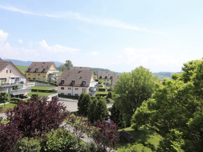 Appartement de 3.5 pièces au rez-de-chaussée avec jardin image 8