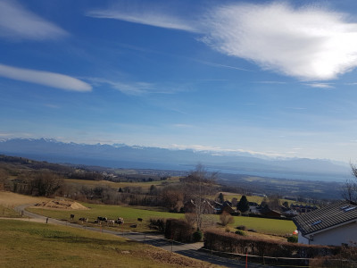 A unique, contemporary and detached villa, Arzier-Le-Muids by Abby Bryand RE image 5