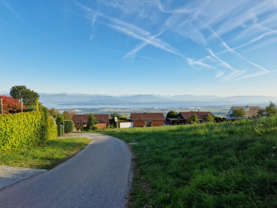 A unique, contemporary and detached villa, Arzier-Le-Muids by Abby Bryand RE image 13