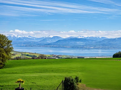 En exclusivité: Une Villa unique, contemporaine et individuelle, Arzier-Le-Muids image 7