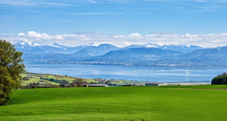 En exclusivité: Une Villa unique, contemporaine et individuelle, Arzier-Le-Muids image 7