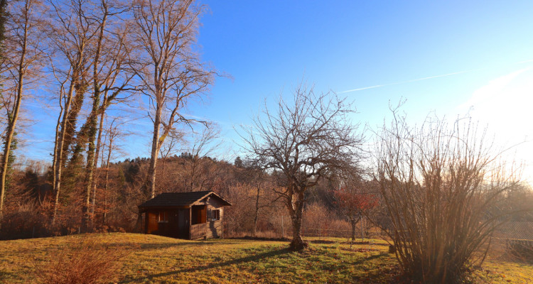 Villa individuelle de 4 pièces en pleine nature image 4