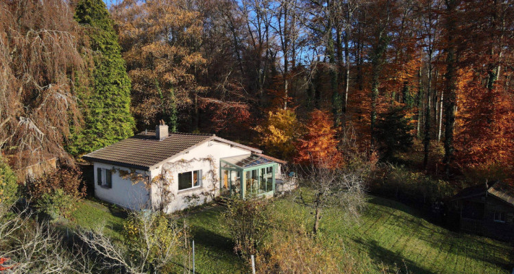 Villa individuelle de 4 pièces en pleine nature image 2