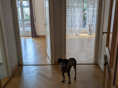 3,5 pièces avec grande terrasse – Quartier Champel / Florissant image 7