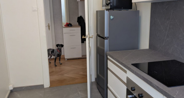 3,5 pièces avec grande terrasse – Quartier Champel / Florissant image 4