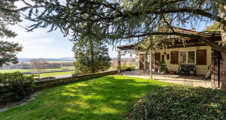 Raumwunder mit Gartenidylle & Einliegerwohnung image 1