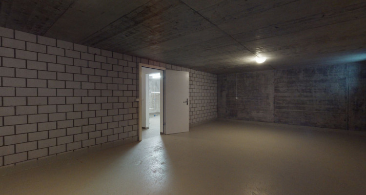 Charmantes Haus in Reinach mit weitläufigem Grundstück image 8