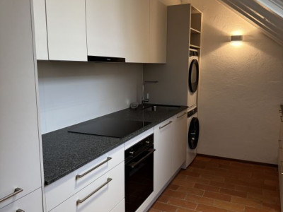 Magnifique appartement rénové de 7 pièces au cœur de Carouge - Genève image 3