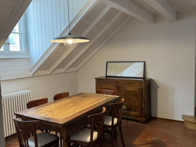 Magnifique appartement rénové de 7 pièces au cœur de Carouge - Genève image 4