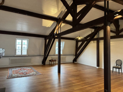 Magnifique appartement rénové de 7 pièces au cœur de Carouge - Genève image 8