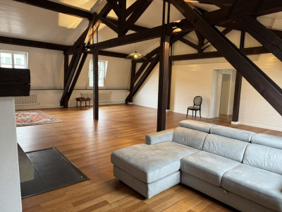 Magnifique appartement rénové de 7 pièces au cœur de Carouge - Genève image 1