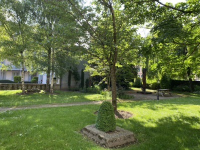 Beautifully renovated 7-room apartment in the heart of Carouge (Geneva) image 11