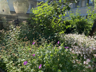 Beautifully renovated 7-room apartment in the heart of Carouge (Geneva) image 12