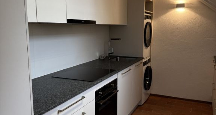 Magnifique appartement rénové de 7 pièces au cœur de Carouge - Genève image 3