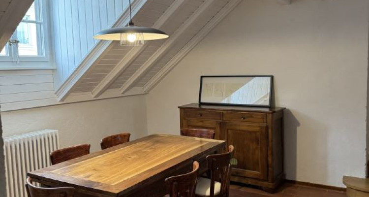 Magnifique appartement rénové de 7 pièces au cœur de Carouge - Genève image 4