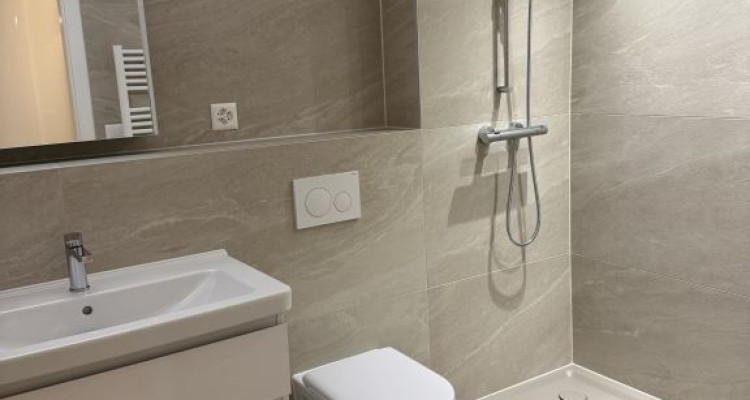 Magnifique appartement rénové de 7 pièces au cœur de Carouge - Genève image 6