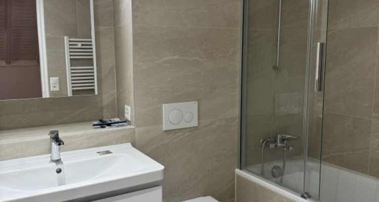 Magnifique appartement rénové de 7 pièces au cœur de Carouge - Genève image 7