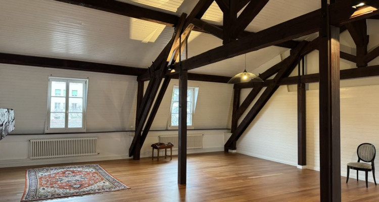 Magnifique appartement rénové de 7 pièces au cœur de Carouge - Genève image 8