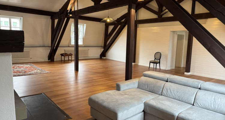 Magnifique appartement rénové de 7 pièces au cœur de Carouge - Genève image 1