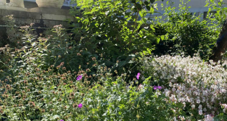 Magnifique appartement rénové de 7 pièces au cœur de Carouge - Genève image 12