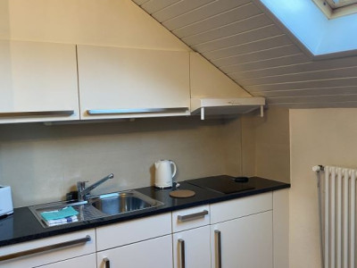 Beautiful Furnished 2 pieces attic Apartment  Carouge (Geneva) image 3