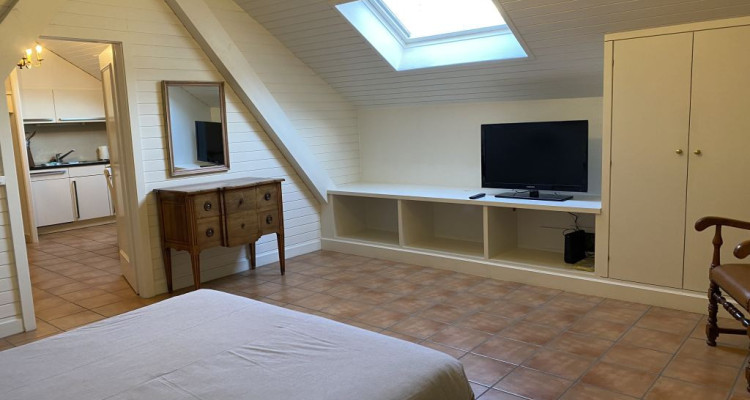 Beautiful Furnished 2 pieces attic Apartment  Carouge (Geneva) image 1