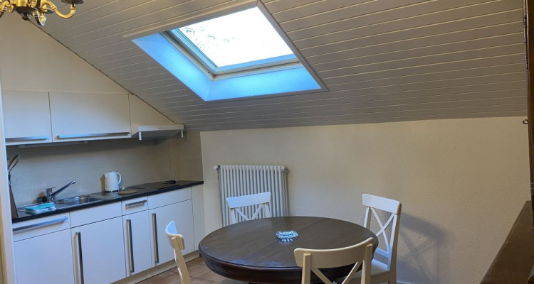 Beautiful Furnished 2 pieces attic Apartment  Carouge (Geneva) image 2