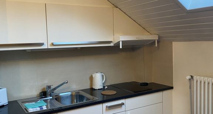 Beautiful Furnished 2 pieces attic Apartment  Carouge (Geneva) image 3