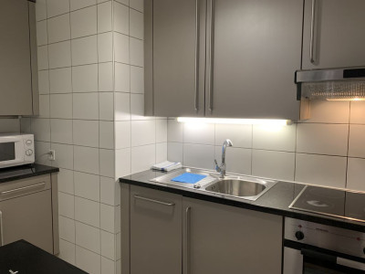 Beautiful Furnished 3 pieces Apartment  AVENUE DE FRANCE 4, GENEVA image 13