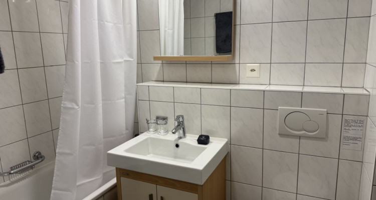 Beautiful Furnished 3 pieces Apartment  AVENUE DE FRANCE 4, GENEVA image 8