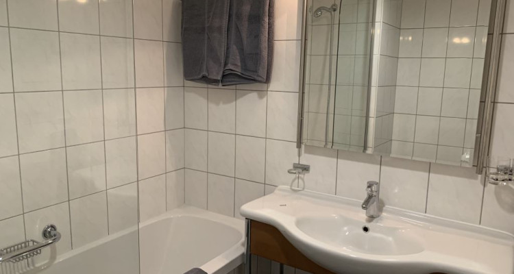 Beautiful Furnished 3 pieces Apartment  AVENUE DE FRANCE 4, GENEVA image 12