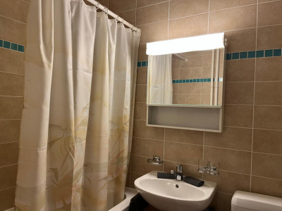 Beautiful Furnished 2 pieces Apartment Carouge (Geneva) image 3