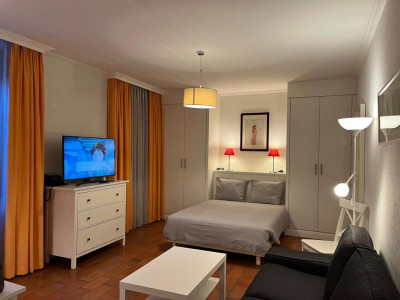 Beautiful Furnished 2 pieces Apartment Carouge (Geneva) image 1