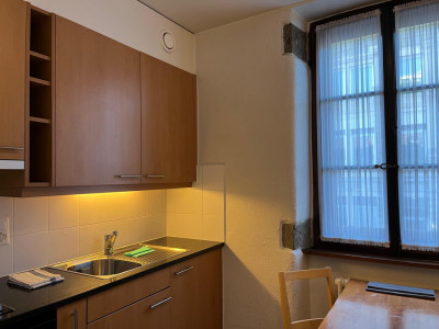 Beautiful Furnished 2 pieces Apartment Carouge (Geneva) image 4