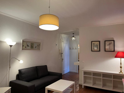 Beautiful Furnished 2 pieces Apartment Carouge (Geneva) image 2