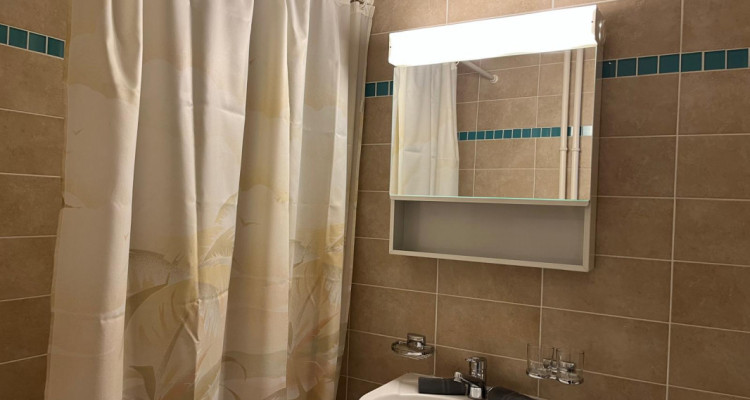 Beautiful Furnished 2 pieces Apartment Carouge (Geneva) image 3