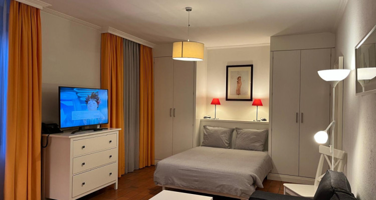 Beautiful Furnished 2 pieces Apartment Carouge (Geneva) image 1