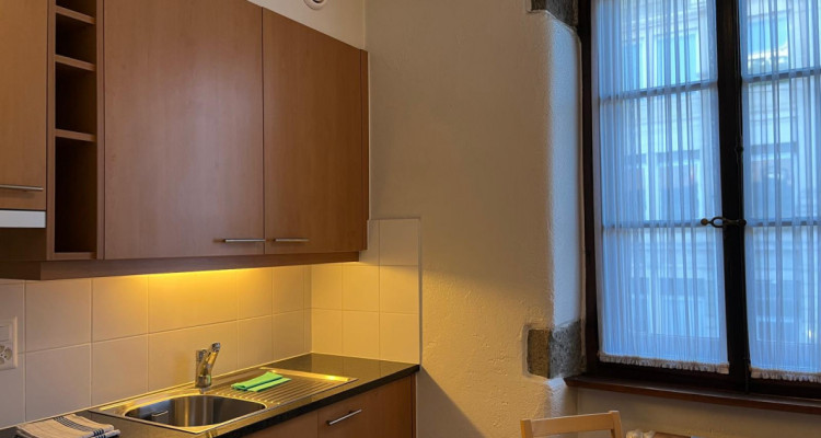 Beautiful Furnished 2 pieces Apartment Carouge (Geneva) image 4