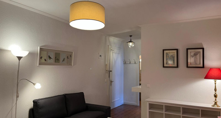 Beautiful Furnished 2 pieces Apartment Carouge (Geneva) image 2