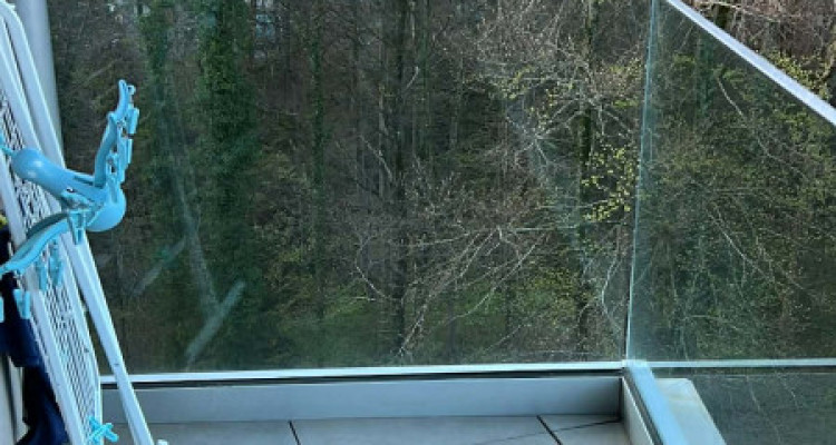 Reprise de bail – Appartement lumineux de 4.5 pièces – Lausanne image 7