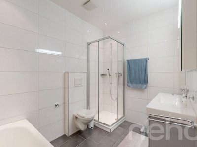 Moderne 4.5 Zimmer Terrassenwohnung mit traumhafter Aussicht image 8