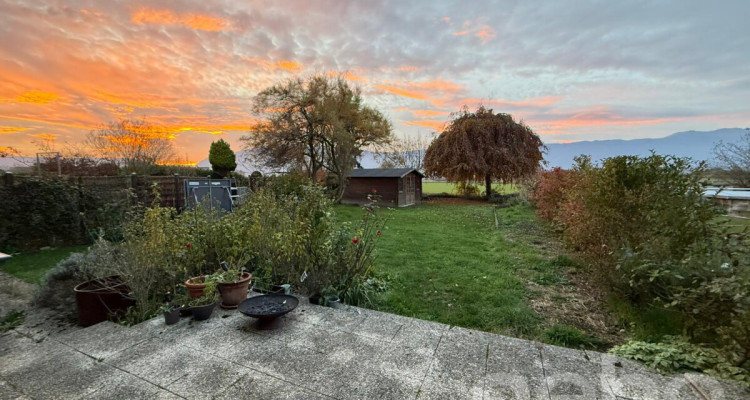 Sérénité face à un champ image 1