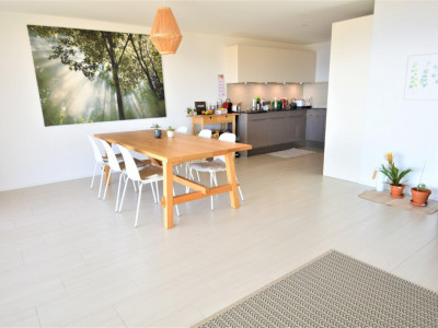 Superbe appartement contemporain avec vue imprenable sur les Alpes et le lac image 4