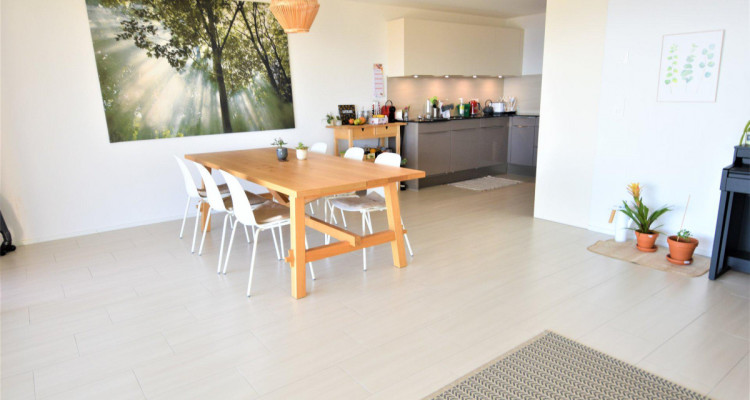 Superbe appartement contemporain avec vue imprenable sur les Alpes et le lac image 4