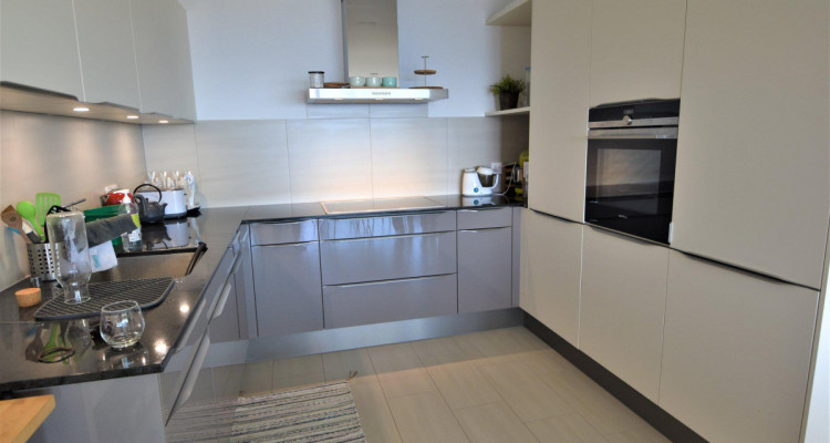 Superbe appartement contemporain avec vue imprenable sur les Alpes et le lac image 5