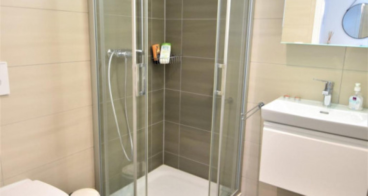 Superbe appartement contemporain avec vue imprenable sur les Alpes et le lac image 8