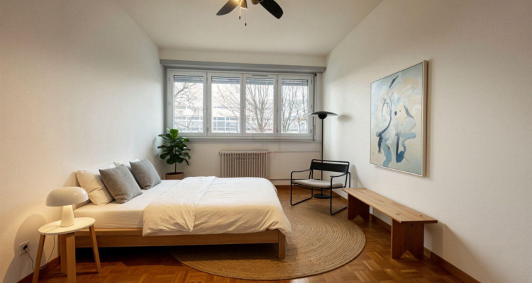 Appartement 4 pièces à fort potentiel à deux pas du tram image 5