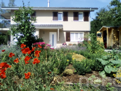 Haus inmitten der Natur auf 2540 m² image 10