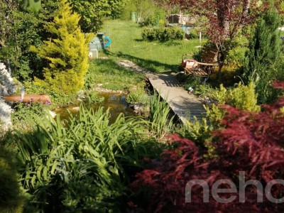 Haus inmitten der Natur auf 2540 m² image 11