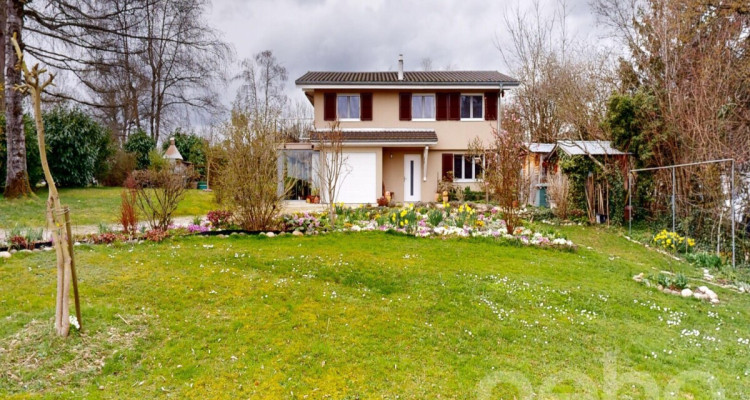 Haus inmitten der Natur auf 2540 m² image 2